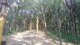 信阳震雷山最新爆料,揭秘神秘古墓群背后的历史之谜