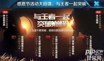 11月活动最新爆料新闻,精彩纷呈,不容错过!